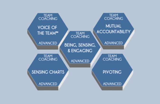 Correntus Team Coaching-1