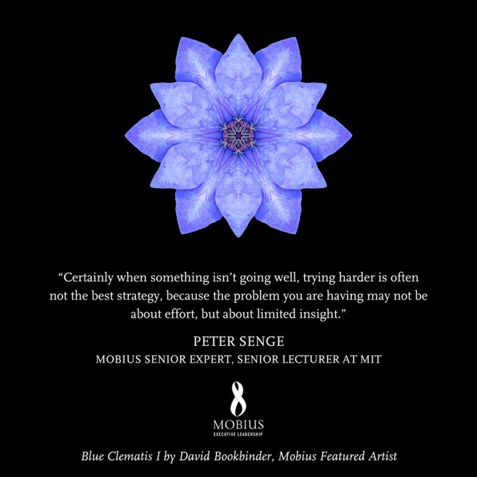 SengeFeaturedInspiration