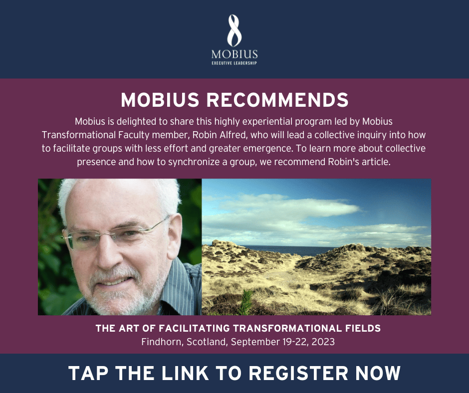 v2 APR2023- The Art of Facilitating Transformationa Fields-SILVER (1)